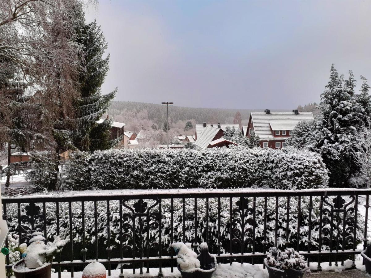 Villa Tannerhof Braunlage Exterior photo
